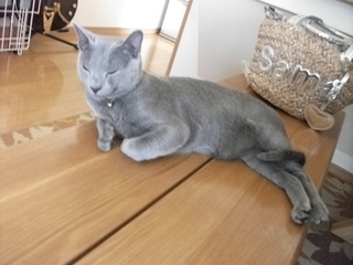 2010-09-07 004.JPG