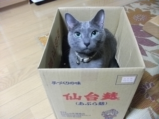 2010-10-3 001.JPG