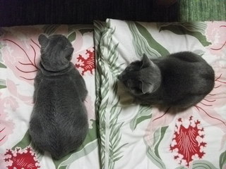 2010-10-3 003.JPG