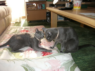 2010-10-7 002.JPG