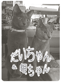 20100823.gif